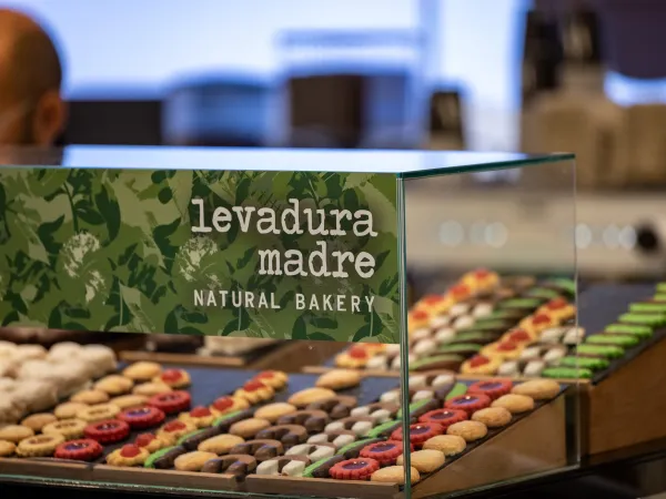 Pasteles de Levadura Madre en una vitrina.