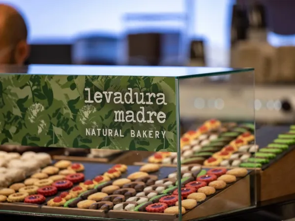 Una vitrina mostrando productos alimenticios de Levadura Madre.